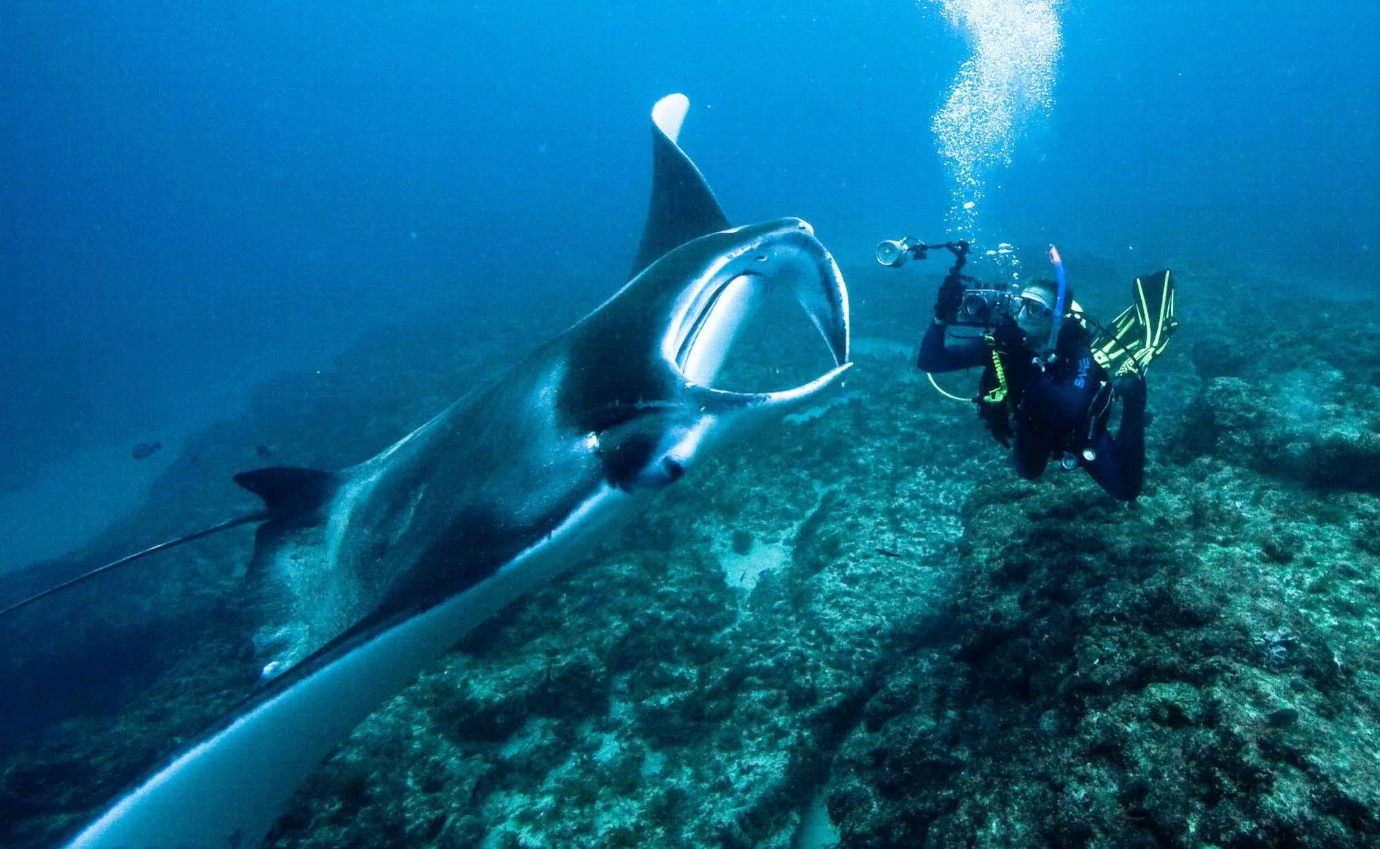 Manta Lodge & Scuba Centre Point Lookout Buitenkant foto